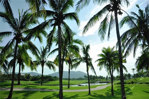 1510健康小屋饮品