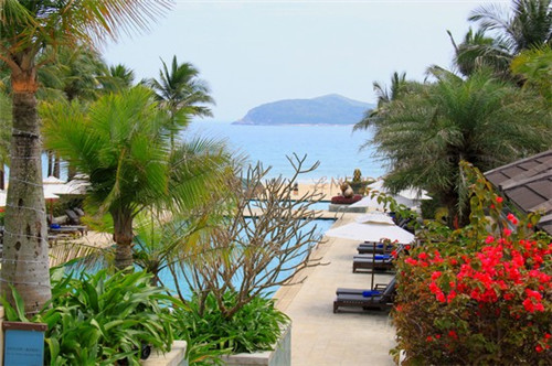 澳美徕澳门花胶鸡