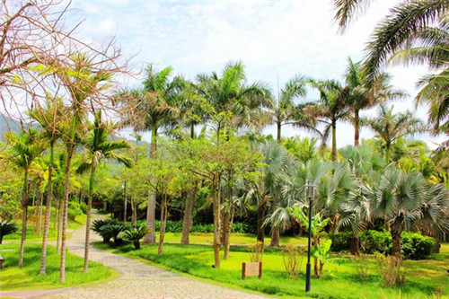 蓝色动力汽车美容