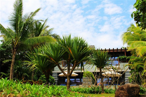 BLOOM.盛放维生素饮料