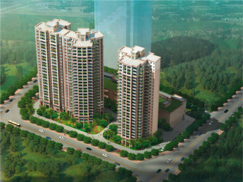 华莱健安化黑茶