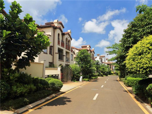 在额济纳旗加盟英族贡茶开店大约是多少钱