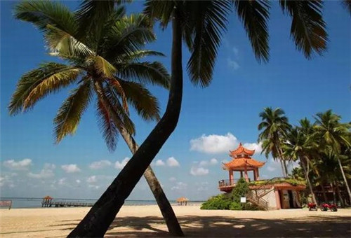 五大连池市创业压路机加盟代理好项目有哪些