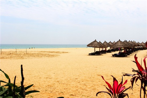 朝鲜卫视下载（朝鲜卫视直播）