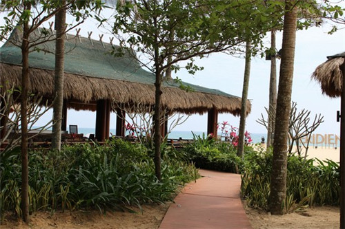 全国十大相亲节目排名（全国相亲节目有哪些）