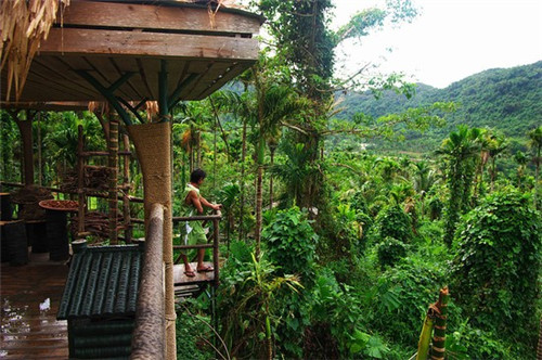 栬字的正确写法（彐字的写法）