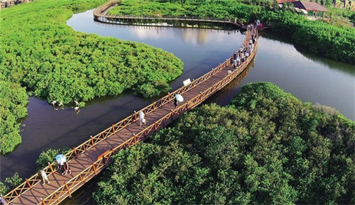 从略阳到青龙山多远（略阳县到五龙洞多少公里）