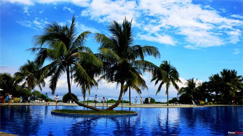 鸣鸢取名好听吗女生名字（鸣鸢作者）